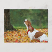 Het alarm geluid briefkaart (Voorkant)