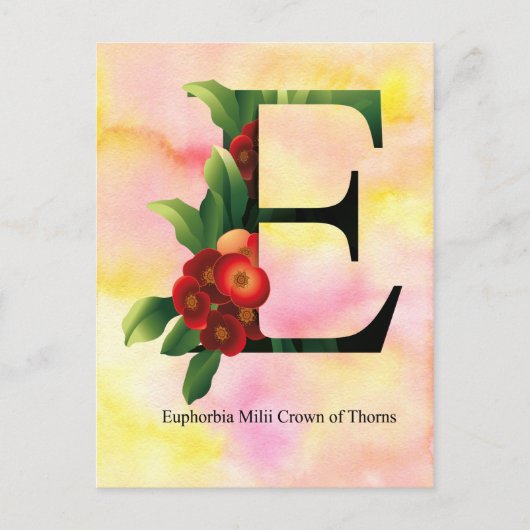 Het Alfabet van bloemen met de Achtergrond van de Briefkaart (Voorkant)