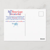 Het alle-Amerikaanse Briefkaart van het Vuurwerk (Achterkant)