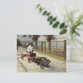 Het Alligator Go-Cart Briefkaart (Staand voorkant)