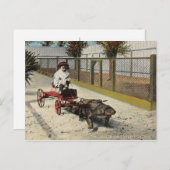 Het Alligator Go-Cart Briefkaart (Voorkant / Achterkant)