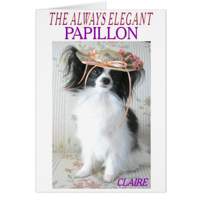 HET ALWAYSE ELEGANT PAPILLON (Voorkant)