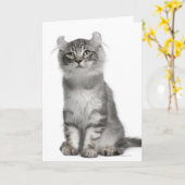 Het Amerikaanse Katje van de Krul (3 maanden oud) Kaart (Gele Bloem)