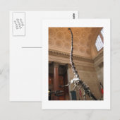 Het Amerikaanse Museum voor Natuurgeschiedenis, NY Briefkaart (Voorkant / Achterkant)