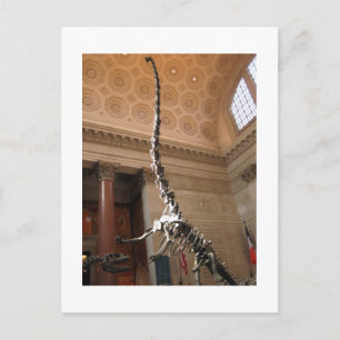 Het Amerikaanse Museum voor Natuurgeschiedenis, NY Briefkaart