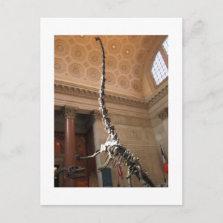 Het Amerikaanse Museum voor Natuurgeschiedenis, NY Briefkaart