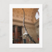 Het Amerikaanse Museum voor Natuurgeschiedenis, NY Briefkaart (Voorkant)