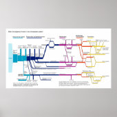 Het Amerikaanse System Flowchart Poster (Voorkant)