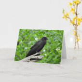 Het Amerikaanse Wenskaart van de Kraai, Spatie Kaart (Gele Bloem)