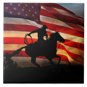 Het Amerikaanse Westerne Paard van het Land van de Tegeltje