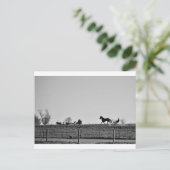 Het Amish-land Briefkaart (Staand voorkant)