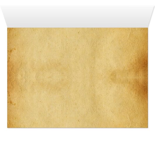 Het Antiek perkamentegment VITRUVIAN MAN (Binenzijde Horizontaal (Onderkant))