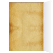 Het Antiek perkamentegment VITRUVIAN MAN (Binnen (Links))