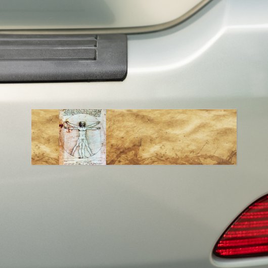 Het Antiek perkamentegment VITRUVIAN MAN Bumpersticker (Op auto)