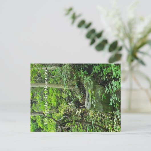 Het Appalachian gebergte Briefkaart (Staand voorkant)