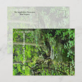 Het Appalachian gebergte Briefkaart (Voorkant / Achterkant)