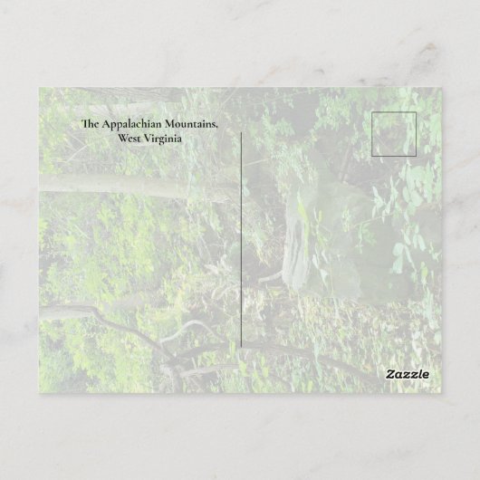 Het Appalachian gebergte Briefkaart (Achterkant)