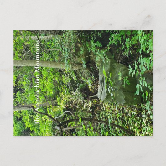 Het Appalachian gebergte Briefkaart (Voorkant)