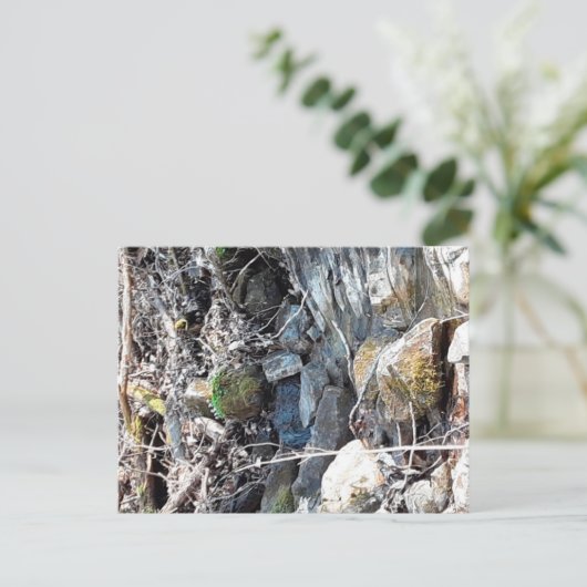 Het Appalachian gebergte, Virginia Briefkaart (Staand voorkant)