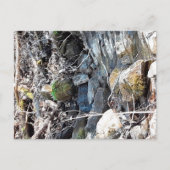 Het Appalachian gebergte, Virginia Briefkaart (Voorkant)