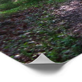 Het Appalachian Trail, PA Poster (Hoek)