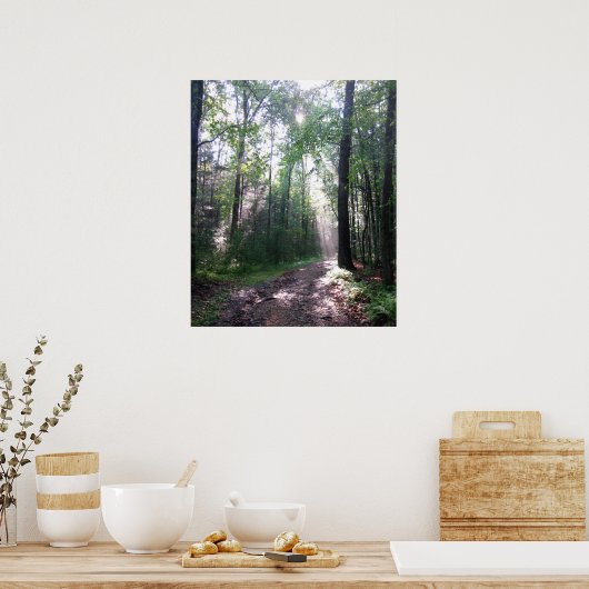 Het Appalachian Trail, PA Poster (Keuken)