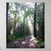 Het Appalachian Trail, PA Poster (Voorkant)