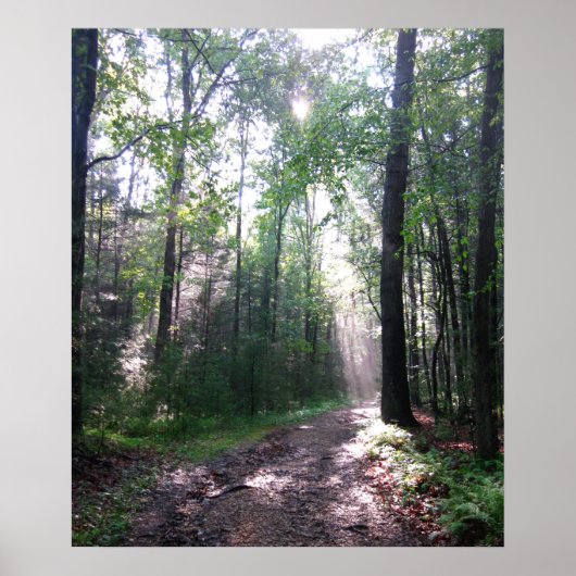 Het Appalachian Trail, PA Poster (Voorkant)