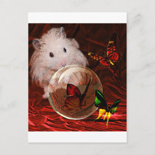 HET APRENTICE BRIEFKAART