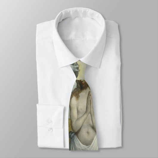 Het aptisme van Christus Stropdas (Gebonden)