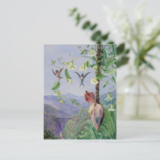 Het aquaduct van Morro Velho in Brazilië Marianne  Briefkaart (Staand voorkant)