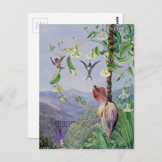 Het aquaduct van Morro Velho in Brazilië Marianne Briefkaart (Voorkant / Achterkant)