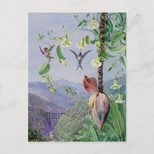 Het aquaduct van Morro Velho in Brazilië Marianne  Briefkaart (Voorkant)