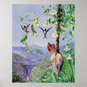 Het aquaduct van Morro Velho Poster