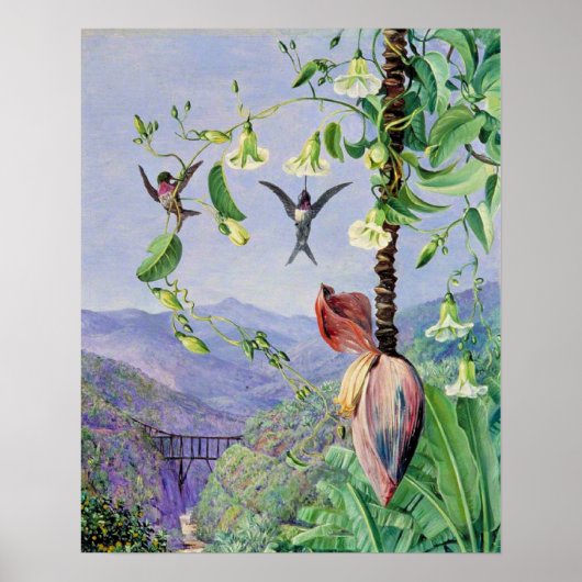 Het aquaduct van Morro Velho Poster (Voorkant)