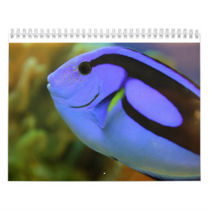 Het aquarium kalender