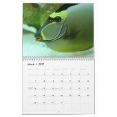 Het aquarium kalender (Mar 2027)