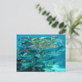 Het Aquarium van de Vissen van Atlantis Briefkaart (Staand voorkant)