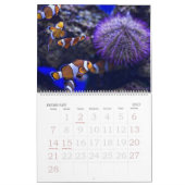 Het aquariumkalender kalender (Feb 2027)