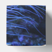 Het aquatische Lot van het Paradijs van de Vissen Bedankdoosjes (Bovenkant)