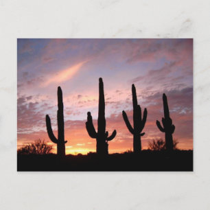 "Het Arizona-Show" Briefkaart