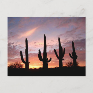 "Het Arizona-Show" Briefkaart