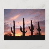 "Het Arizona-Show" Briefkaart (Voorkant)