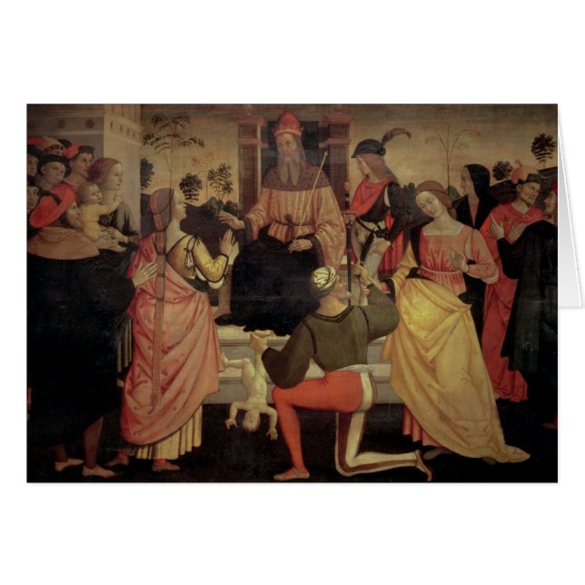 Het arrest Solomon (Voorkant Horizontaal)