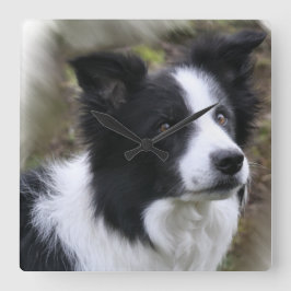Het Art. van border collie Vierkante Klok