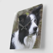 Het Art. van border collie Vierkante Klok (Hoek)