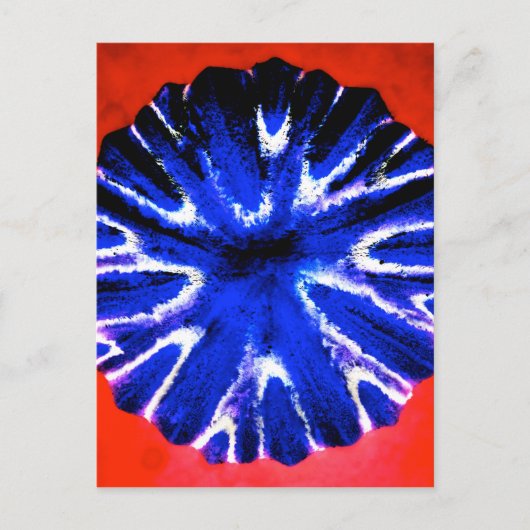 Het Art. van de Bloem van de aster Briefkaart (Voorkant)