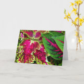 Het art. van de siernetel kaart (Gele Bloem)