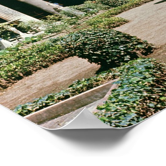 Het Atrium, Huis van de Vettii Poster (Hoek)