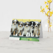 Het Australische Lege Wenskaart van het "puppy" Kaart (Gele Bloem)